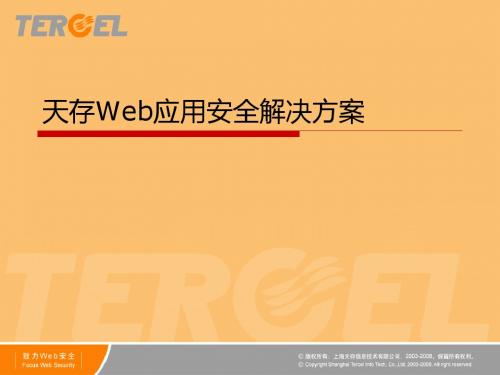 web-应用安全解决方案-精选文档