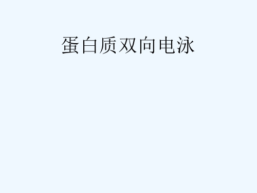 蛋白质双向电泳简介