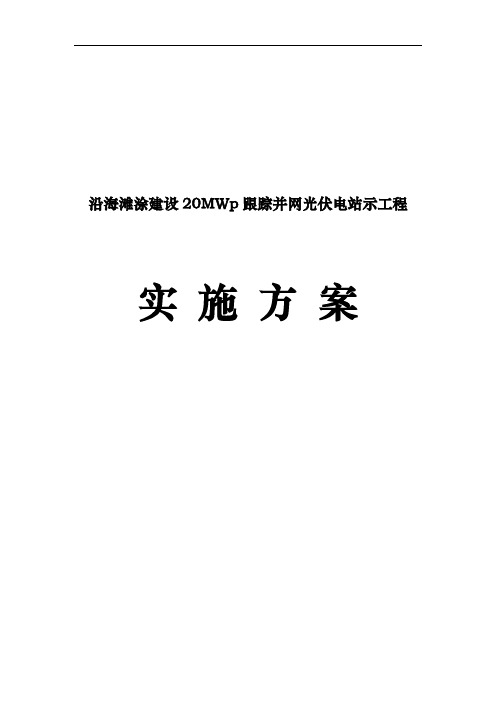 沿海滩涂建设20MWp并网光伏电站示范工程实施计划方案书