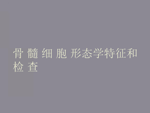 骨髓细胞形态学特征和检查