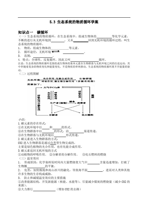 生态系统物质循环的学案