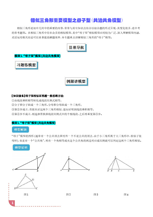 相似三角形重要模型之母子型(共边共角模型)(学生版)-初中数学