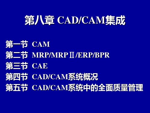 CADCAM第八章 CADCAM技术集成