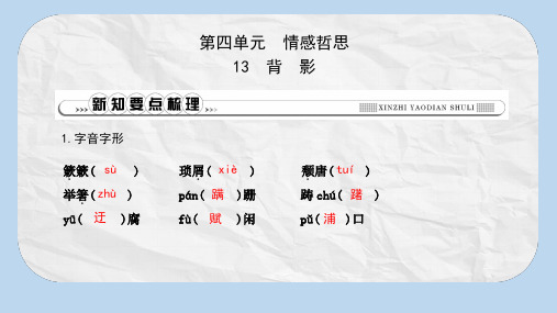 八年级语文上册第四单元13背影课件新人教版