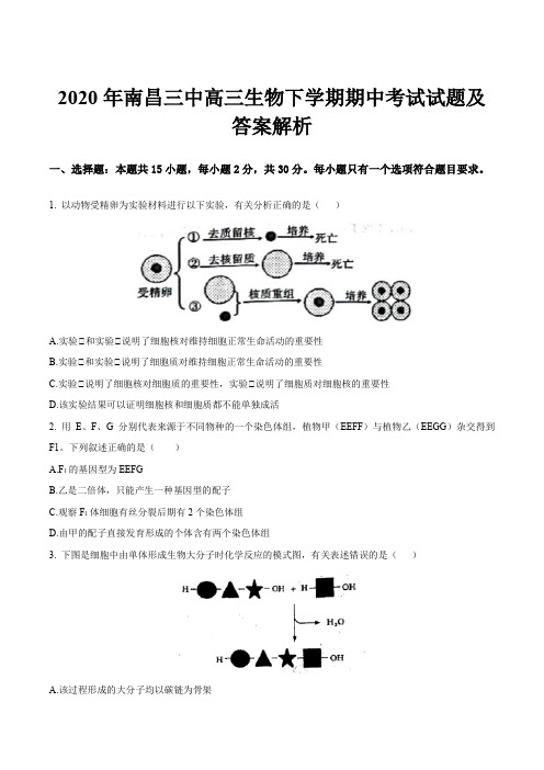 2020年南昌三中高三生物下学期期中考试试题及答案解析