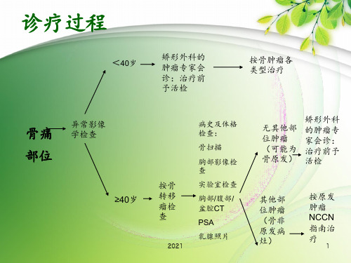 骨肿瘤指南-()PPT课件