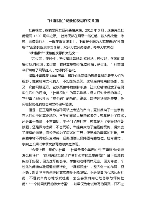 杜甫很忙现象的反思作文5篇