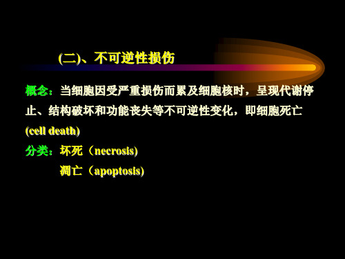 细胞损伤、坏死、凋亡与修复(病理学课件)