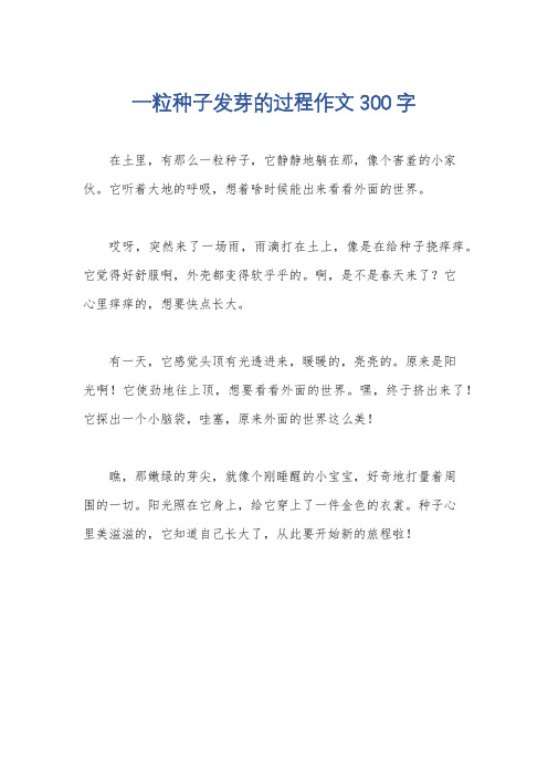 一粒种子发芽的过程作文300字