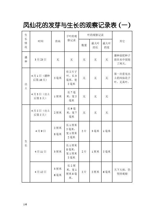 凤仙花的发芽与生长的观察记录表