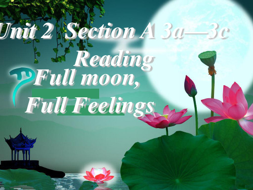 人教九年级全册unit2 section A 3a—3c(共29张PPT)