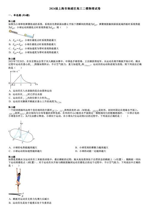 2024届上海市杨浦区高三二模物理试卷