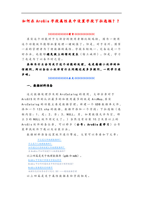 如何在ArcGis字段属性表中设置字段下拉选框？？