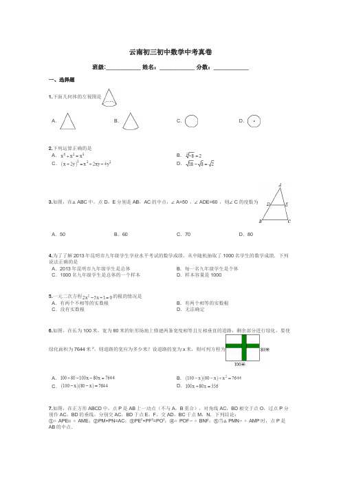 云南初三初中数学中考真卷带答案解析
