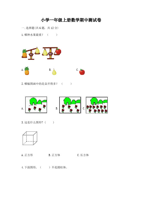 小学一年级上册数学期中测试卷(夺冠)word版