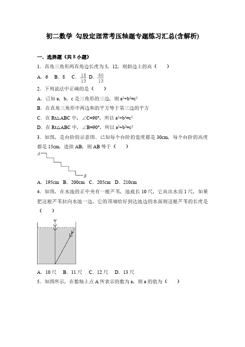 初二数学 勾股定理常考压轴题专题练习汇总(含解析)
