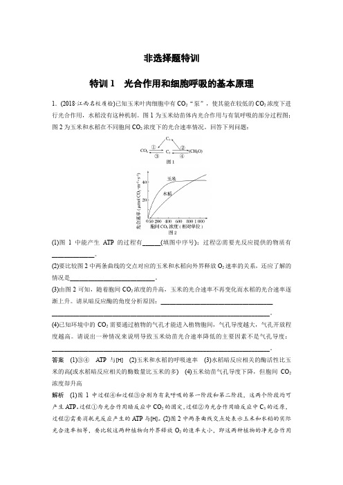 2019高考生物全国通用版增分练：非选择题特训1(全解析)