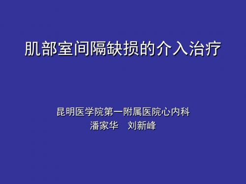 肌部室间隔缺损的介入治疗48页PPT