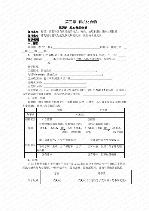 基本营养物质 总结与练习及答案