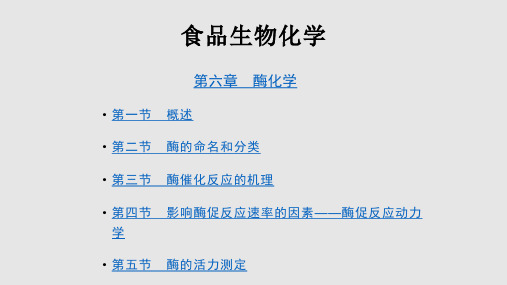 食品生物化学---第6章学习PPT教案