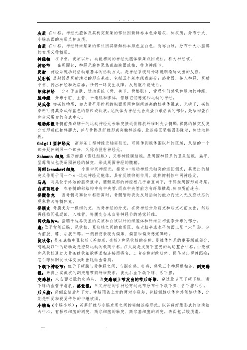 神经解剖学复习试题笔记