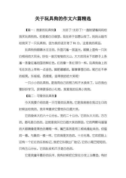 关于玩具狗的作文六篇精选