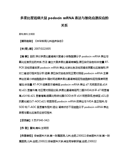 多柔比星肾病大鼠podocin mRNA表达与氧化应激反应的关系