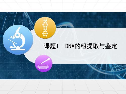 人教版高中生物选修1-5.1《DNA的粗提取与鉴定》优教课件