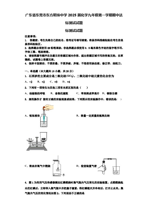 广东省东莞市东方明珠中学2025届化学九年级第一学期期中达标测试试题含解析