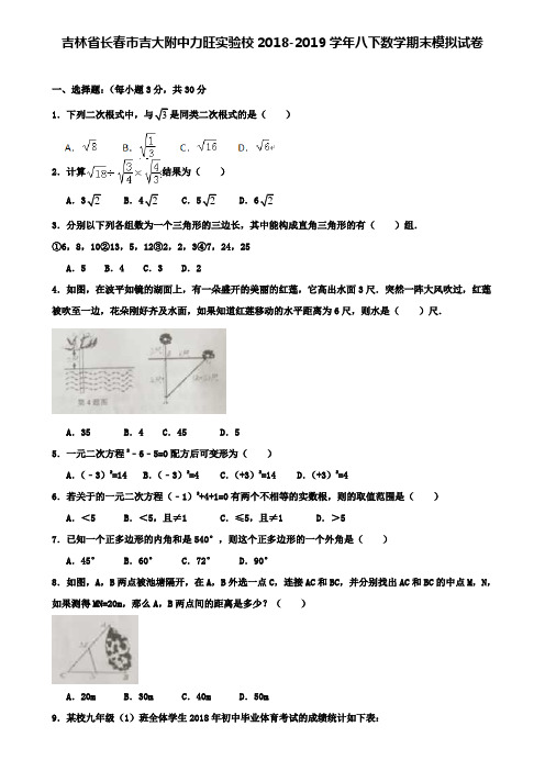 【附加10套数学模拟卷】吉林省长春市吉大附中力旺实验校2018-2019学年八下数学期末模拟试卷