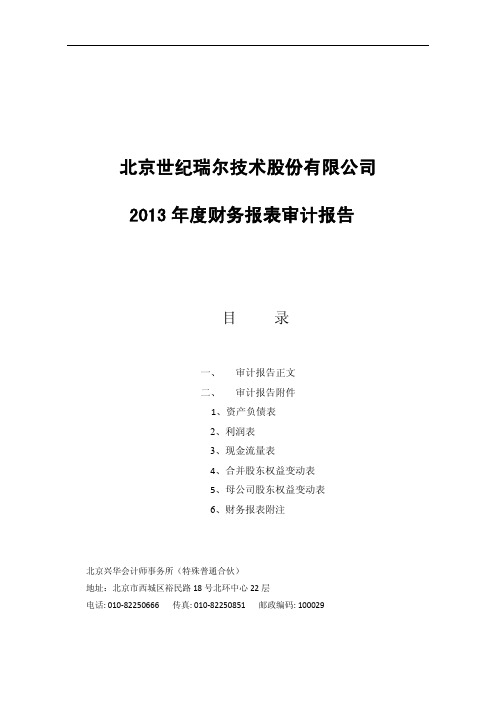 世纪瑞尔：2013年年度审计报告