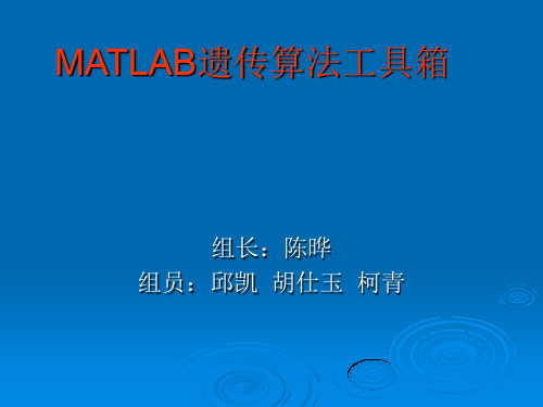 MATLAB遗传算法工具箱