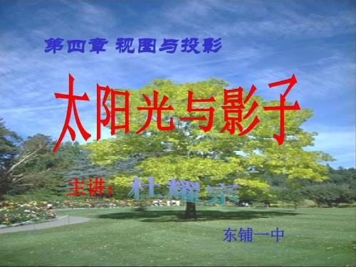 初三数学太阳光与影子4[北师版]