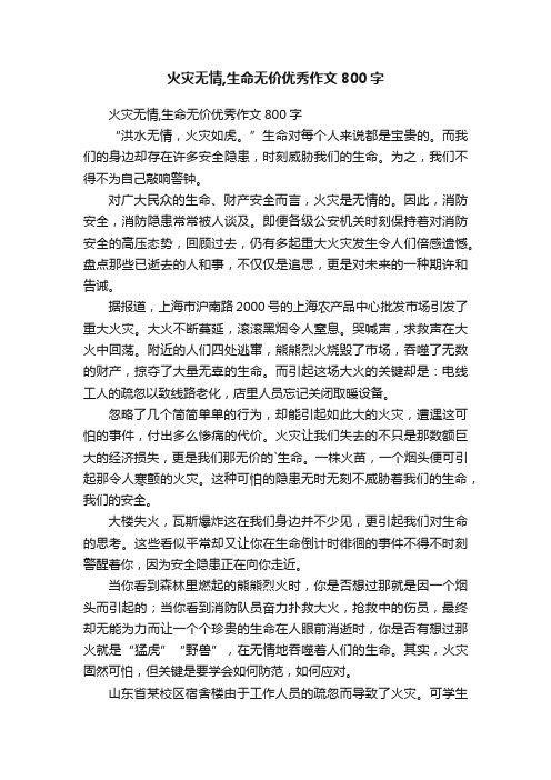 火灾无情,生命无价优秀作文800字