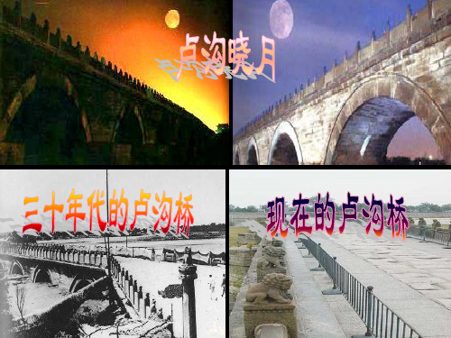 第13课 众志成城