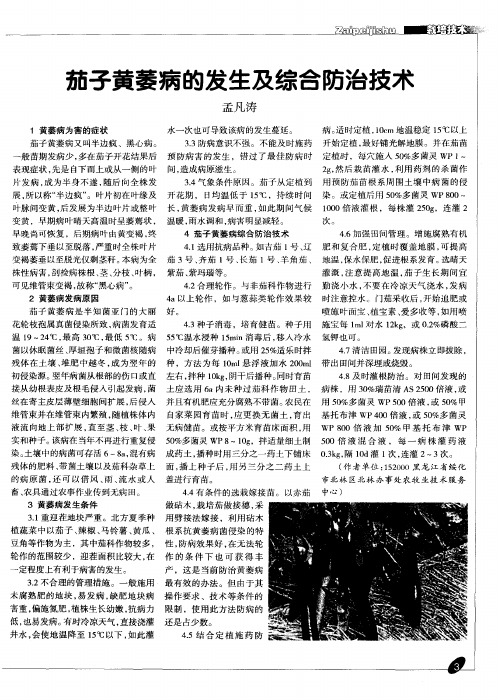 茄子黄萎病的发生及综合防治技术
