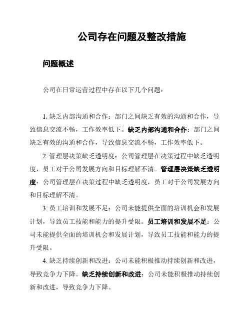 公司存在问题及整改措施