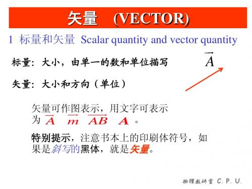 LECTURE01矢量