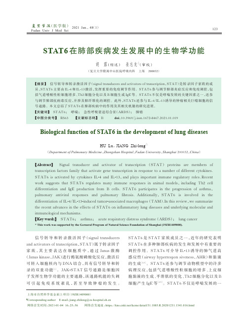 STAT6在肺部疾病发生发展中的生物学功能