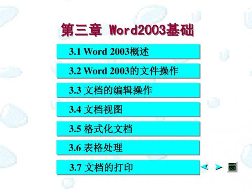 word2003教案