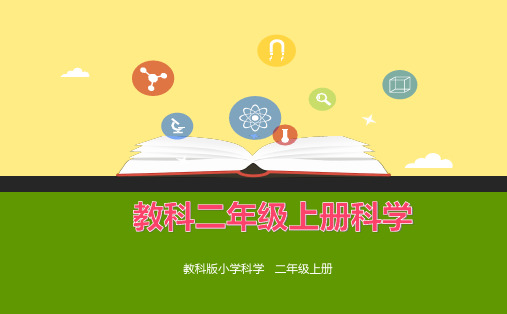 教科版科学二年级上册8、我们生活的世界(优质课件)(2024年秋新改版)