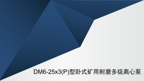 DM6-25x3(P)型卧式矿用耐磨多级离心泵