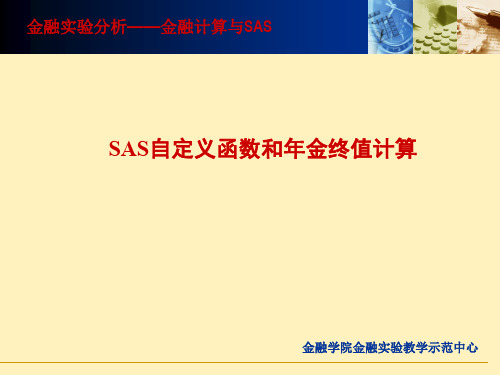 5 自定义函数和子程序-SAS9.2