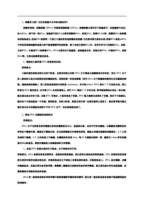 核酸作业答案