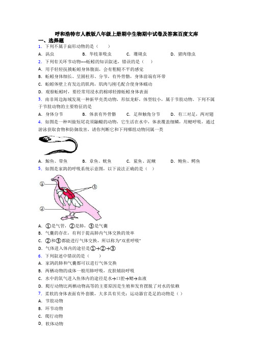 呼和浩特市人教版八年级上册期中生物期中试卷及答案百度文库