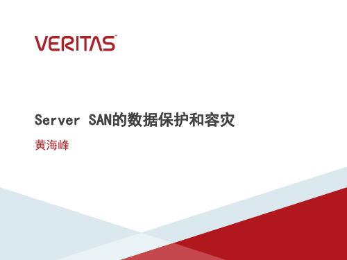 Server SAN数据保护和容灾20151201