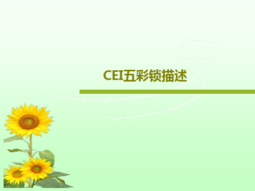 CEI五彩锁描述共36页文档