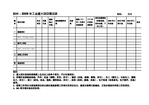 009年工业重大项目情况表单位万元