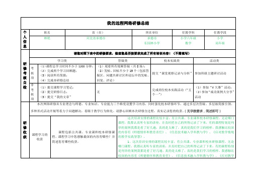 2013年国培网络研修总结模版