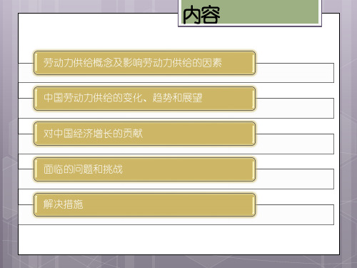 中国劳动力供给变化对经济增长的影响ppt课件